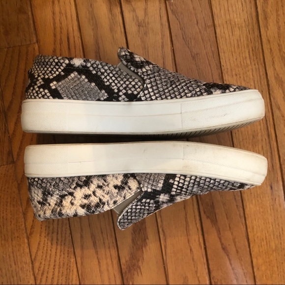 Steve Madden Gills platform snake print sneakers - Picture 5 of 6